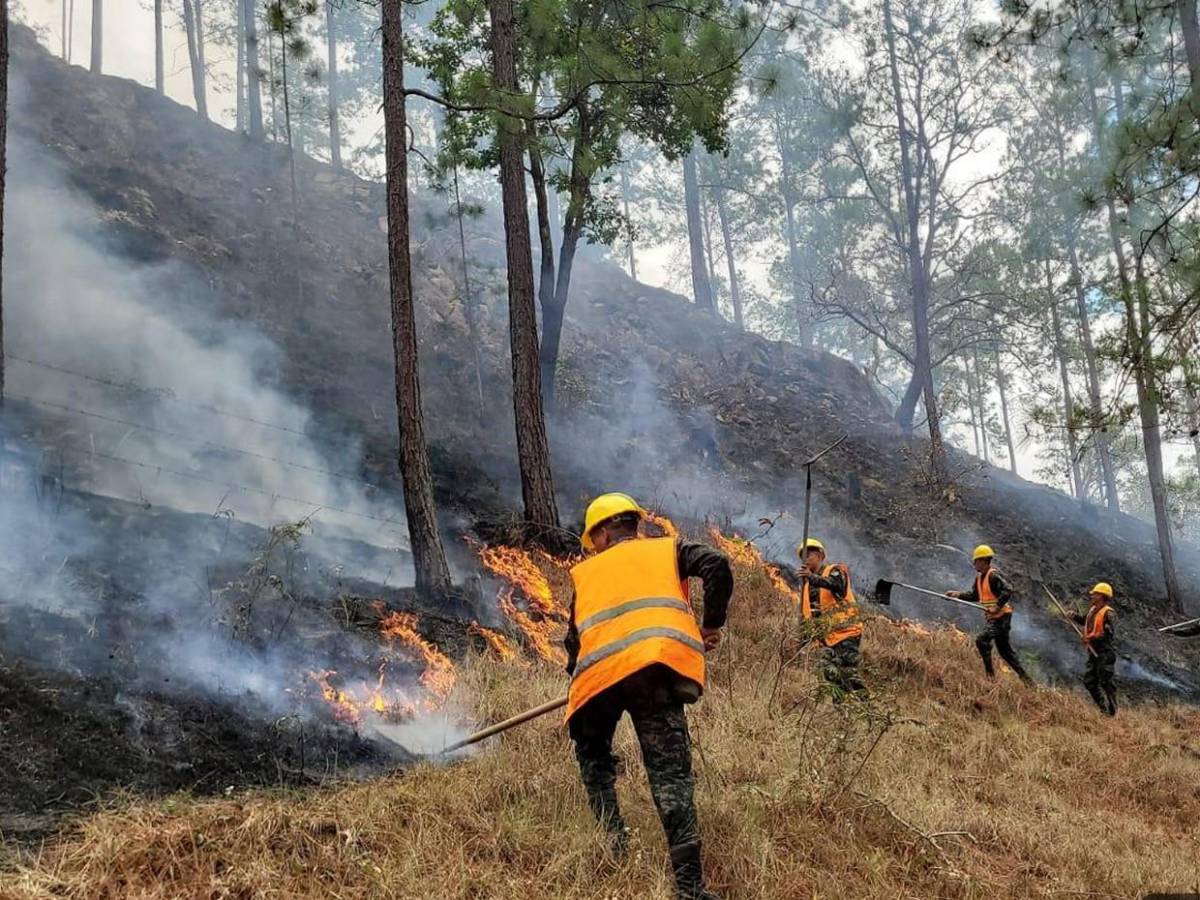 Solo durante el fin de semana se registraron 15 incendios forestales en Honduras