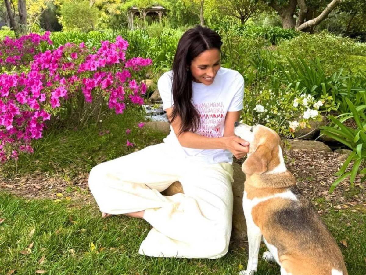 Meghan Markle busca a su padre en hospitales tras amputación: No tengo su número