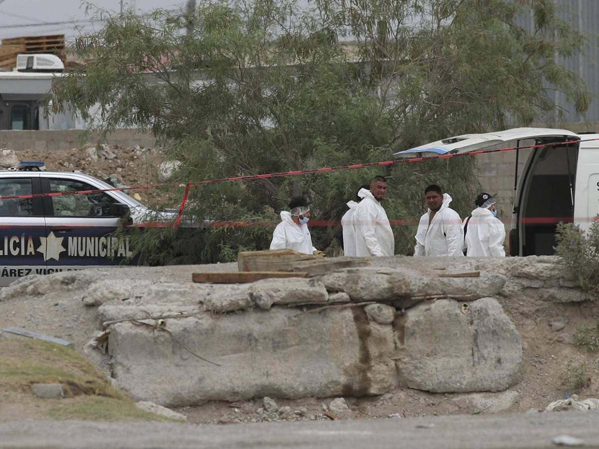 Olores fétidos y 381 cuerpos a medio embalsamar: el dantesco hallazgo en Ciudad Juárez