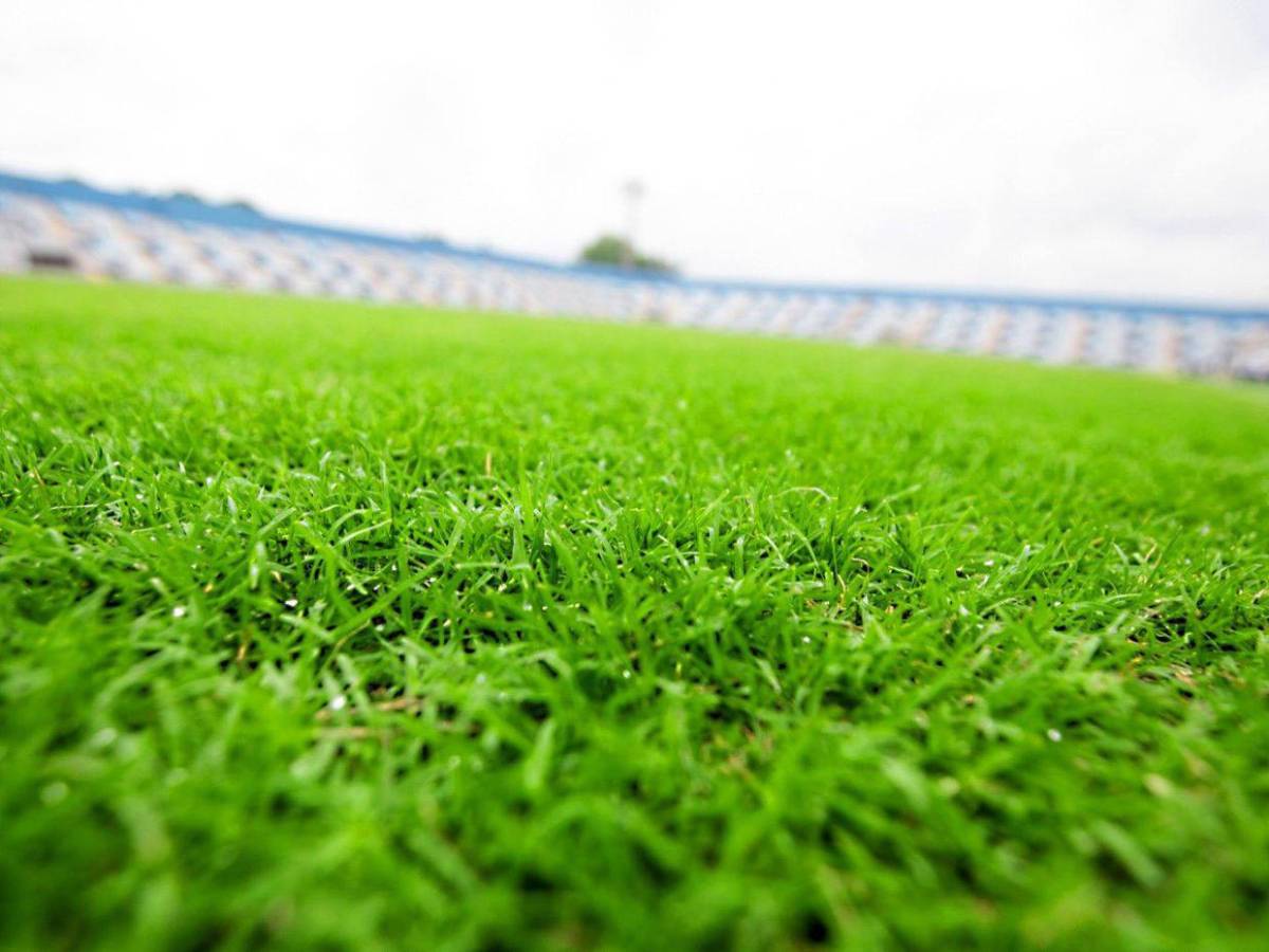 ¿Cuánto cuesta remodelación del estadio en La Ceiba y por qué será único en Honduras?