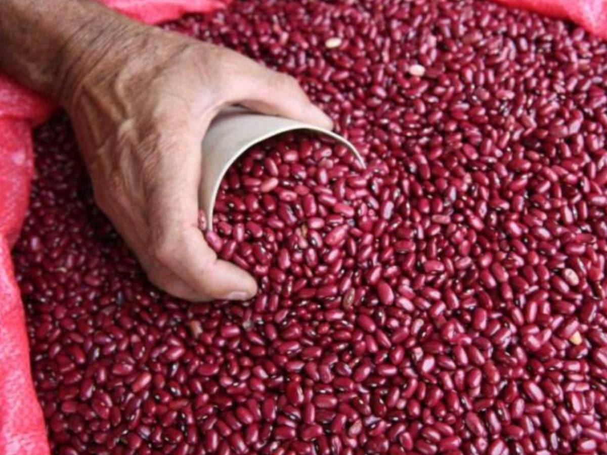 Lo que anuncia el IHMA con el frijol vencido comprado a Nicaragua y su única salida