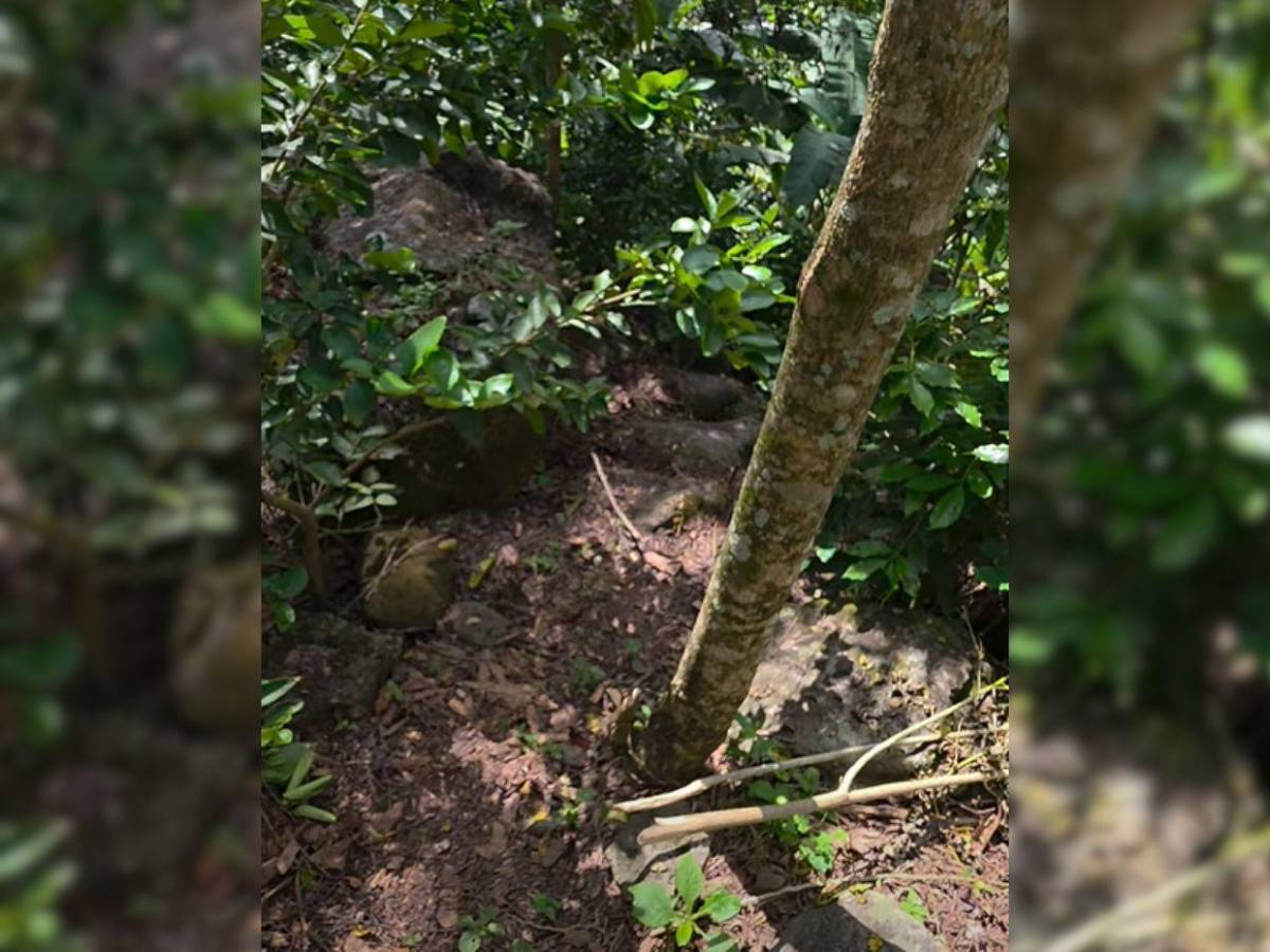 De difícil acceso y zona boscosa: revelan cómo es el lugar donde hallaron el cuerpo de Kimberly