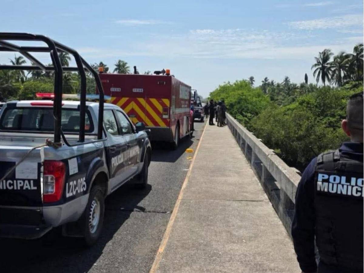 Adolescente de 14 años muere devorado por cocodrilos tras caer de un puente en México