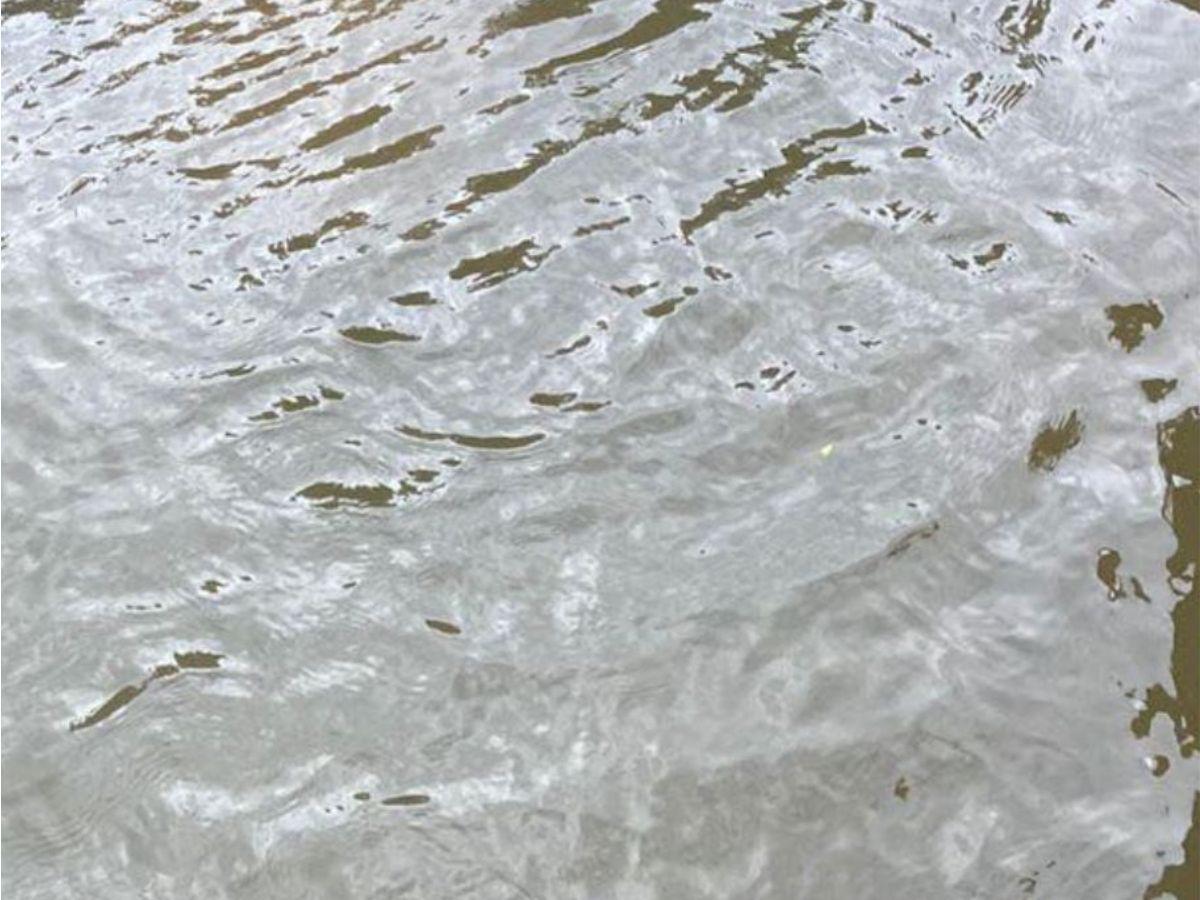 Dilver Ruiz murió ahogado tras  salvar a su hija cerca del río Patuca