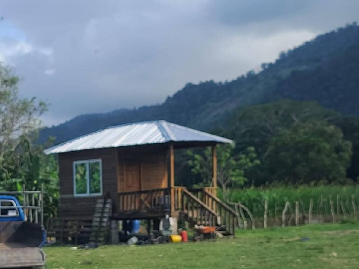 Confiscan bienes a supuesto narco en norte de Honduras, tras incautarle 2,835 kilos de coca