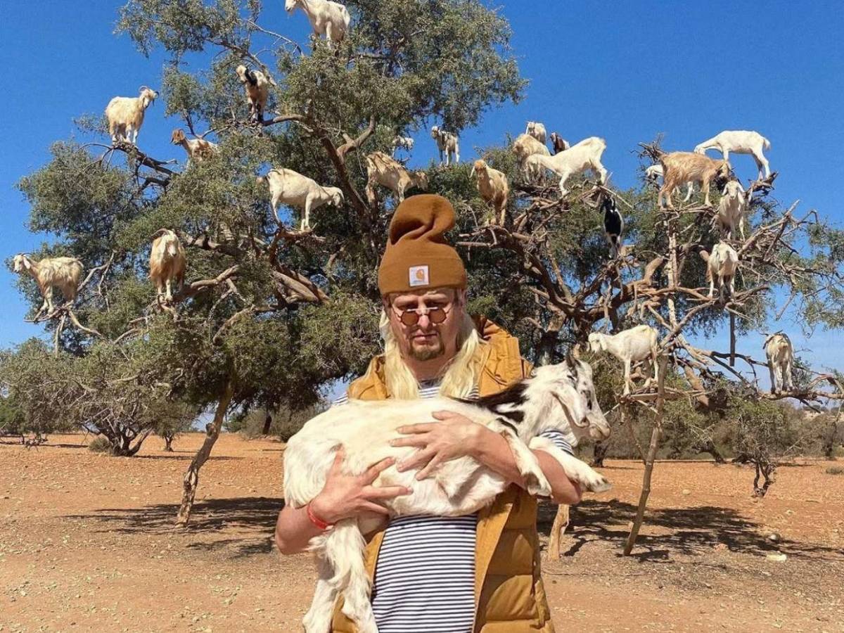 ¿Quién era Oliver Tree, el cantante de Life Goes On fallecido en Brasil?