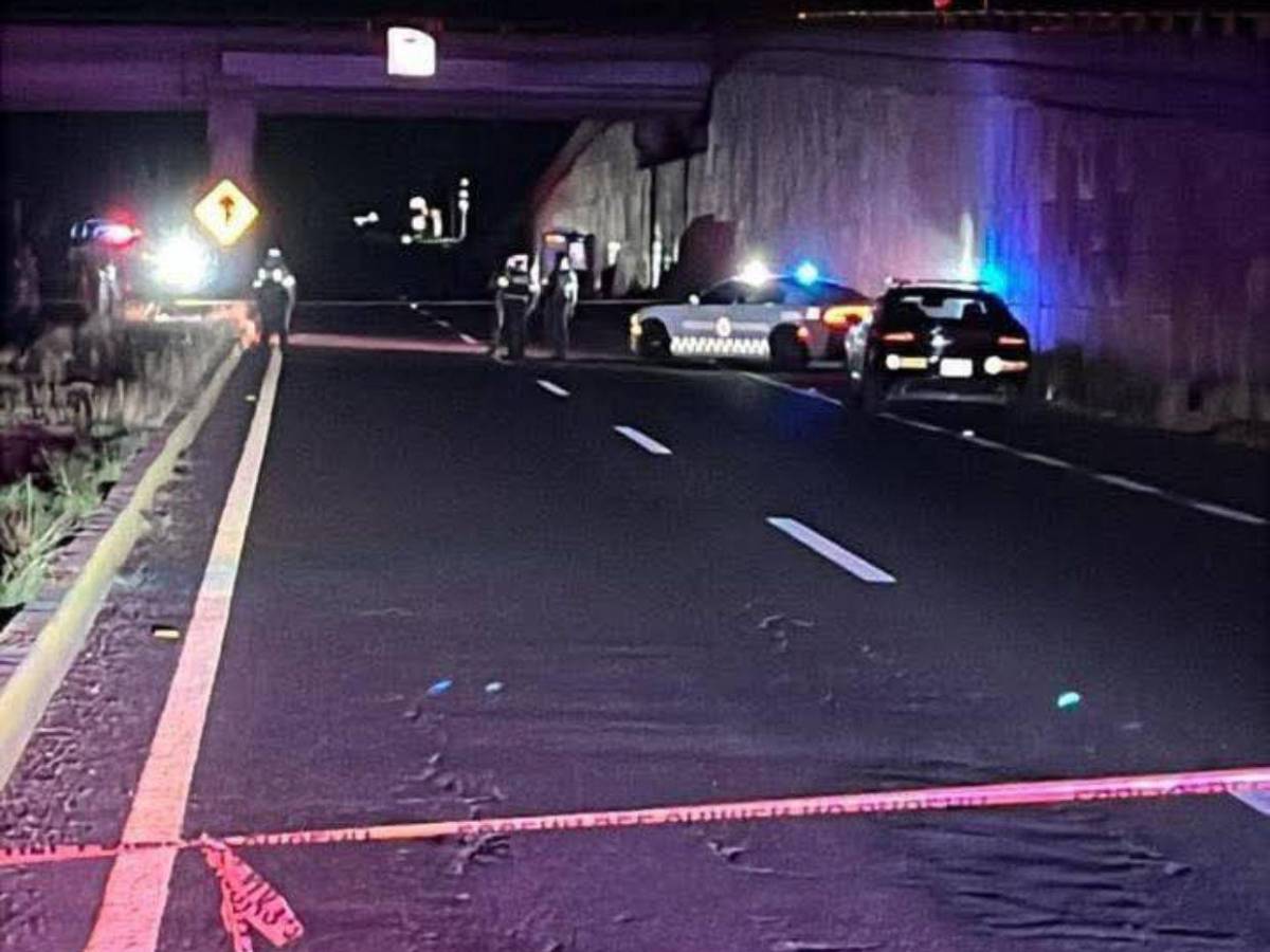 Con heridas de bala y hasta decapitados: el hallazgo de 20 cadáveres en Sinaloa