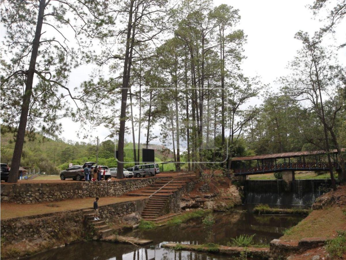 Frescura, fauna y viajes en bote de pedales: disfruta del Parque Aurora esta Semana Santa