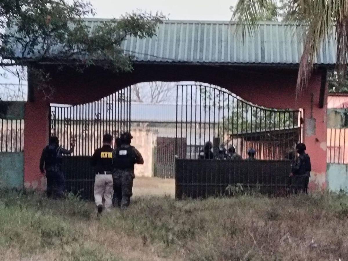 Iban a ser narcopistas: los bienes incautados vinculados a Magdaleno Meza