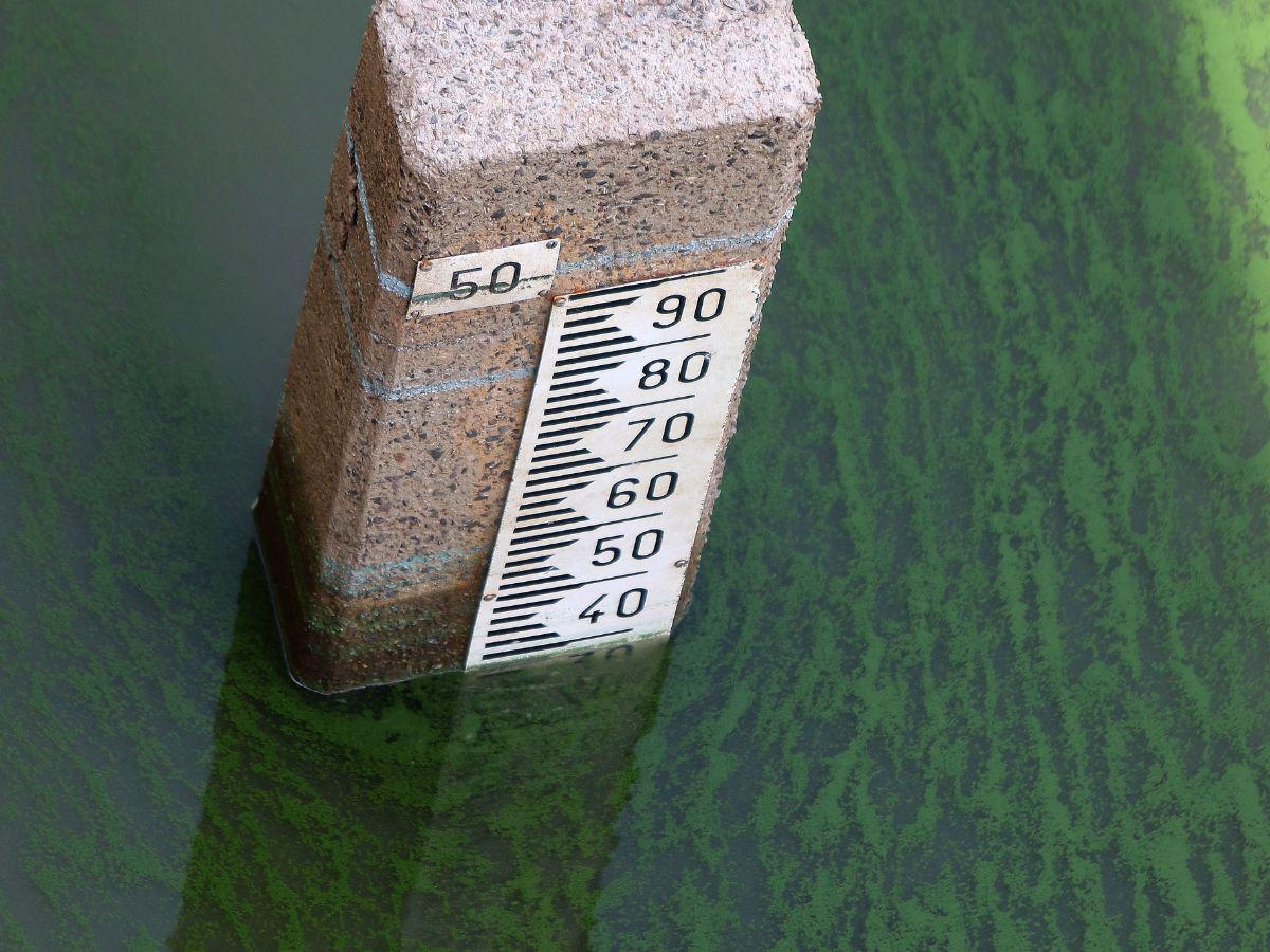 UMAPS garantiza agua potable para todo el verano 2025 en Tegucigalpa