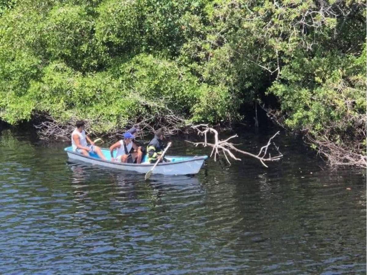 Adolescente de 14 años muere devorado por cocodrilos tras caer de un puente en México