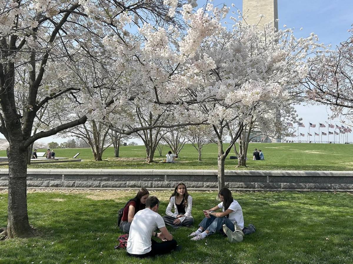 La primavera llega temprano a Washington con el espectáculo de los cerezos