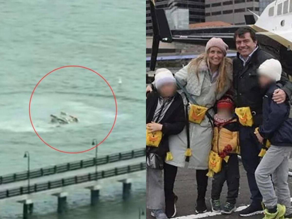 Teorías sobre el accidente aéreo en Nueva York: aves, drones o fallo de motor Teorías sobre el accidente aéreo en Nueva York: aves, drones o fallo de motor