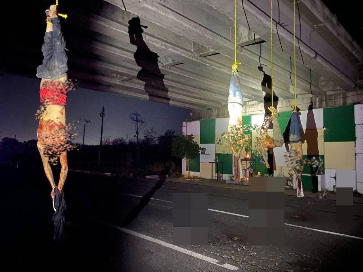 Con heridas de bala y hasta decapitados: el hallazgo de 20 cadáveres en Sinaloa