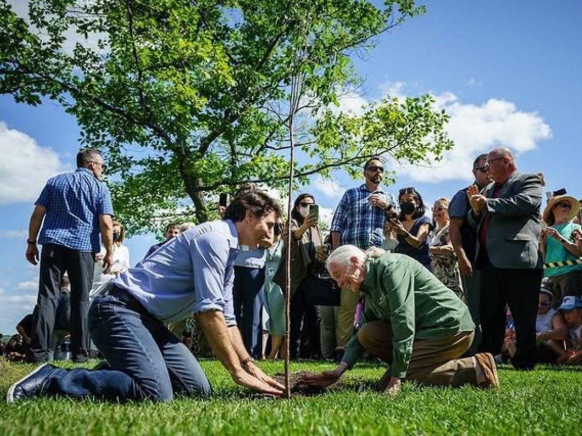 Justin Trudeau loco por Katy Perry: Cree que es la mujer perfecta