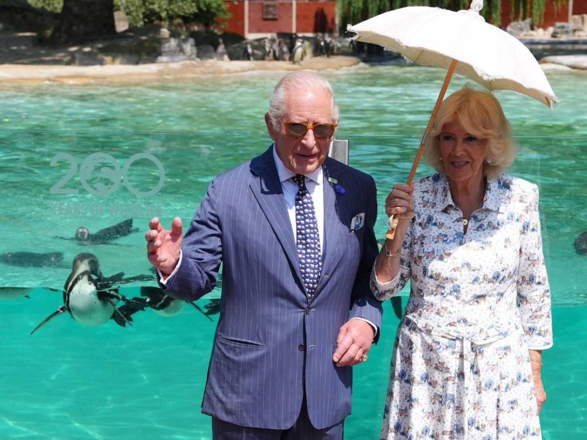 Los hijos de Harry y Meghan se reencuentran con el rey Carlos tras cuatro años