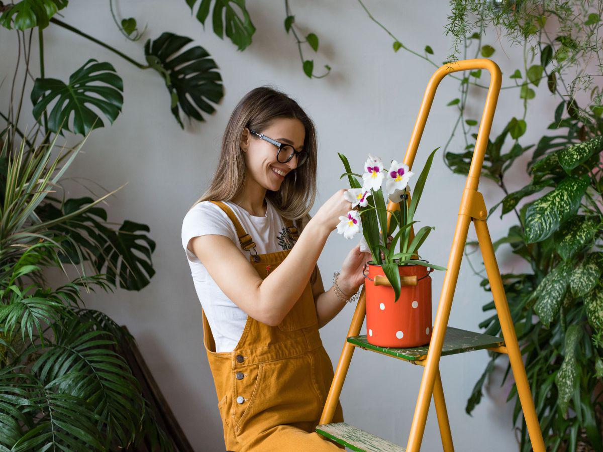 Jardinería para principiantes: Plantas saludables