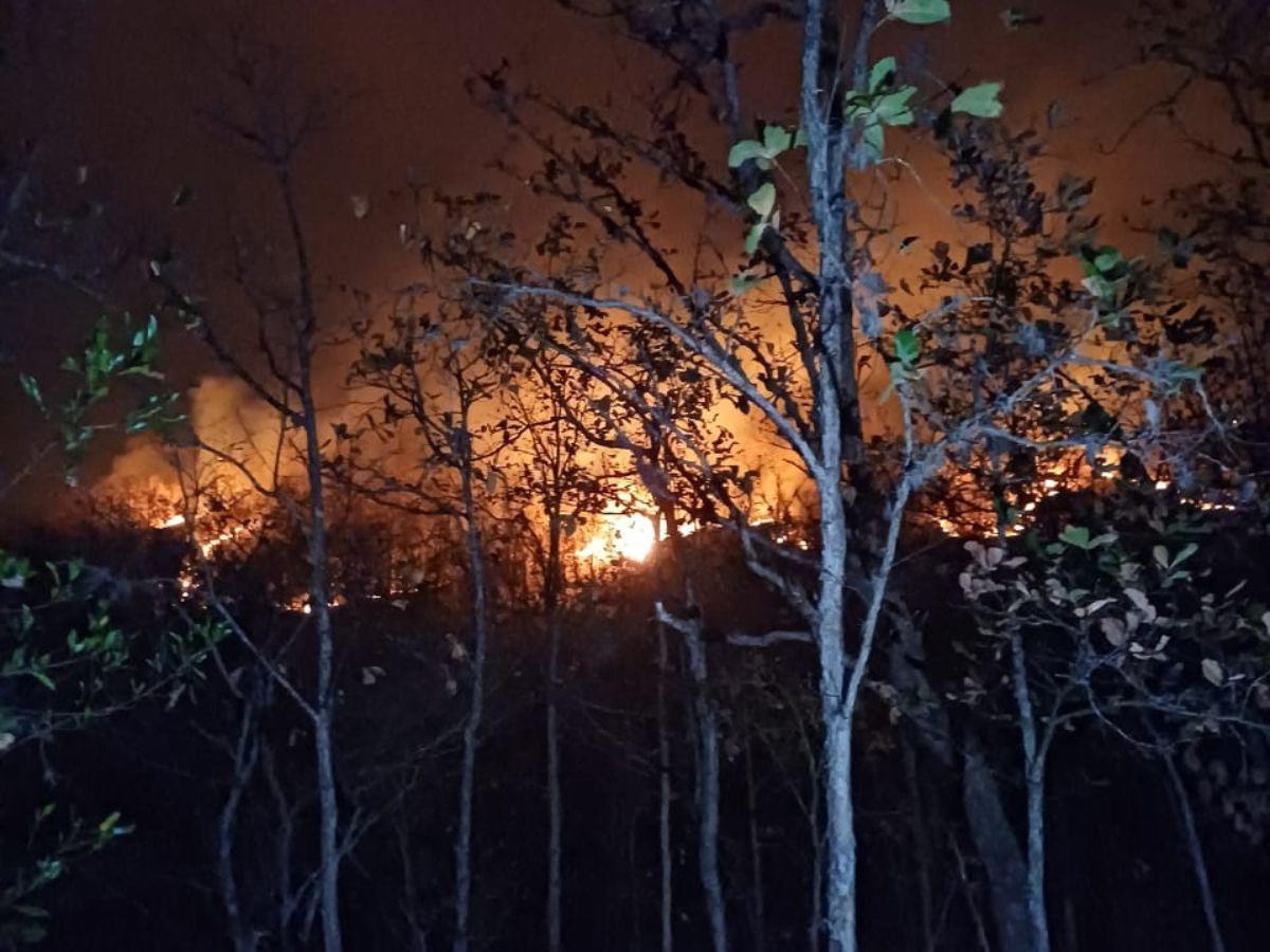 ¿Cuáles son las áreas atendidas por el Cuerpo de Bomberos en el incendio en La Tigra?