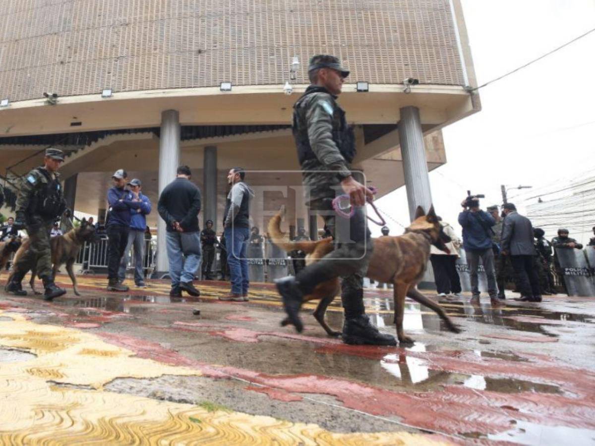 Binomios caninos forman parte del blindaje del Congreso Nacional