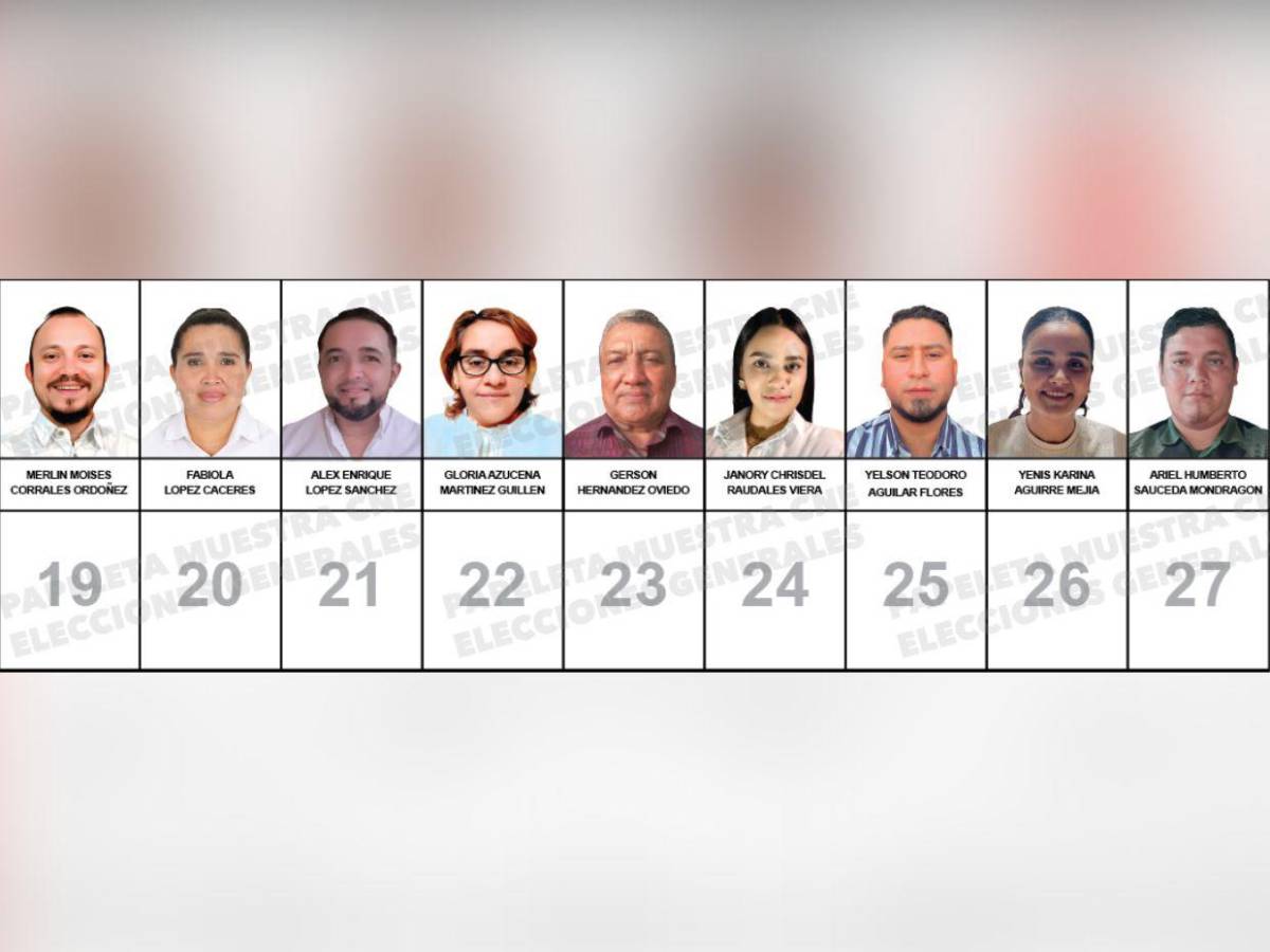 ¿Quiénes son los candidatos a diputados por el PINU-SD, de Nelson Ávila?