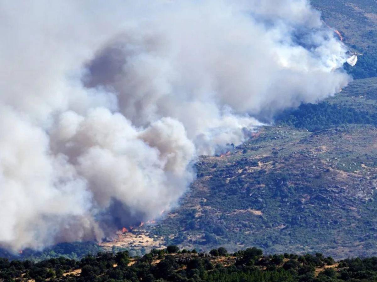 Fuego voraz arrasa con 45,000 hectáreas en España y obliga a evacuar a miles de personas