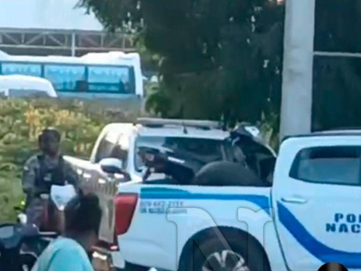 Hombre mató y desmembró a su hermana en RD: Había pedazos en el horno