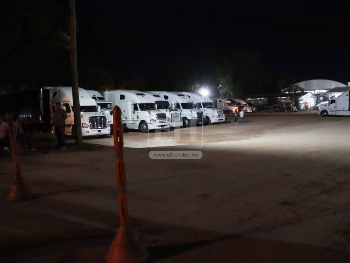 Camiones y logística lista para el inicio del despacho de material electoral