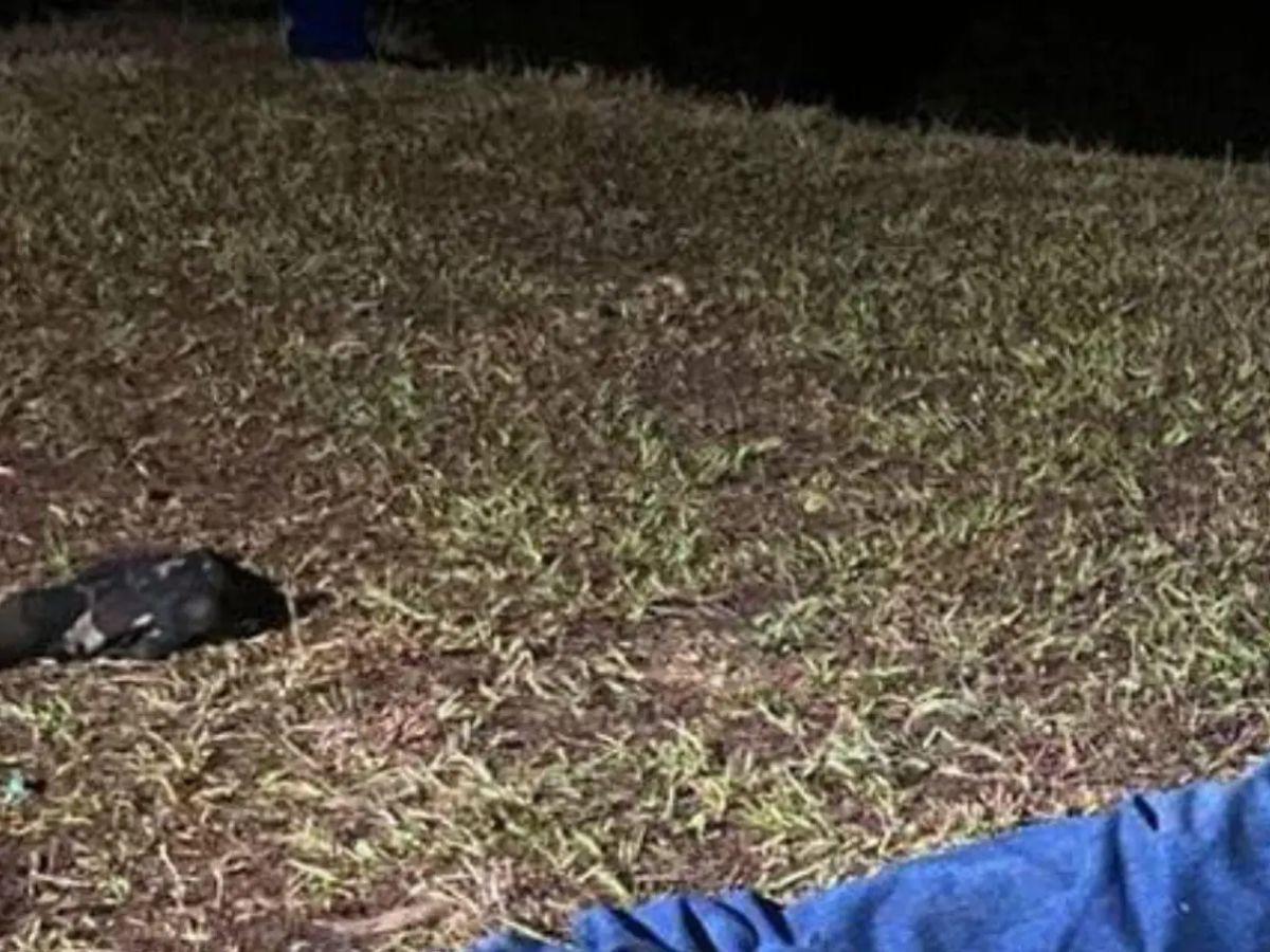 Estuvieron presos: antecedentes delictivos de los tres hermanos acribillados en Lempira