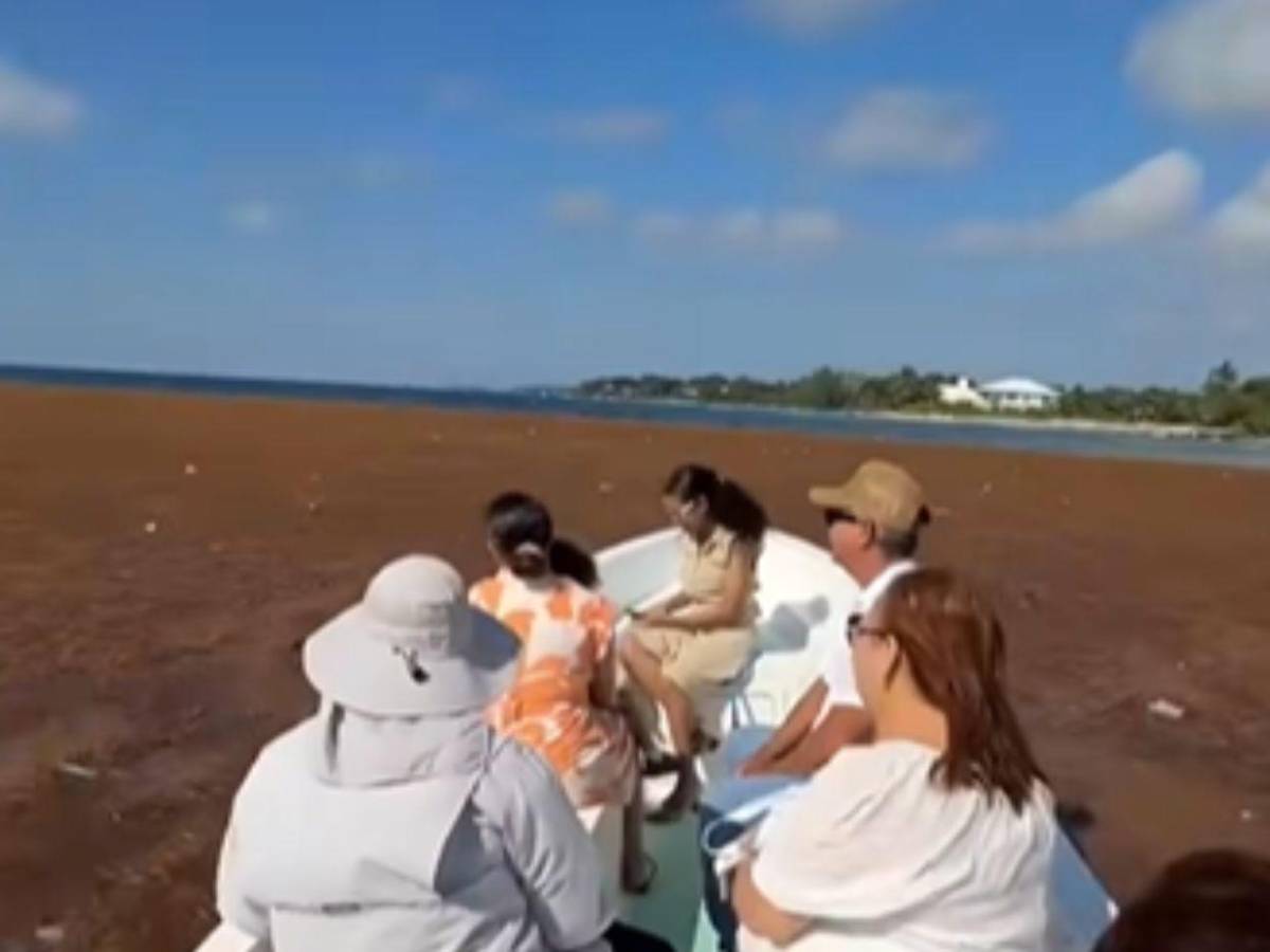 EN FOTOS: sargazo invade playas de Utila; autoridades activan plan de limpieza