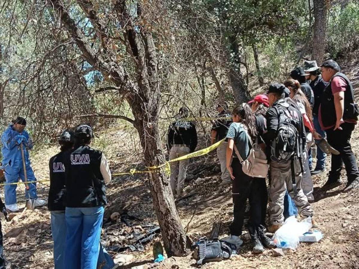 Voluntarios buscan en México a la madre de Savannah Guthrie tras pista anónima