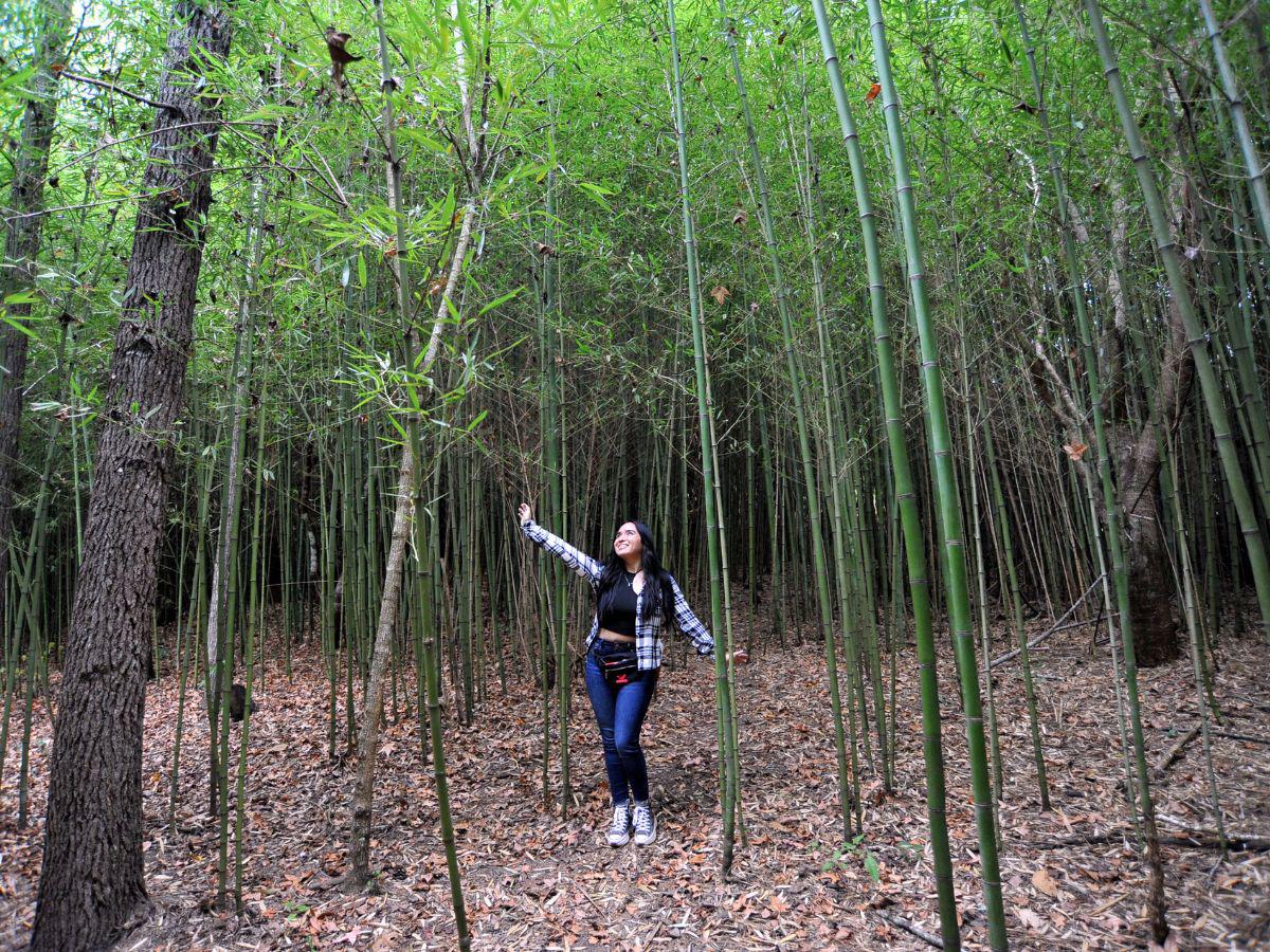 Triquilapa, lugar de ensueño cerca de la capital donde se respira nuevos aires