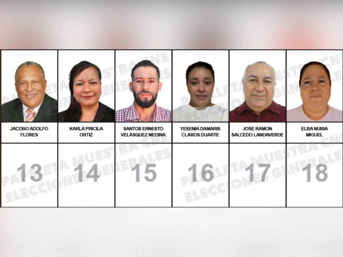 ¿Quiénes son los candidatos a diputados por el PINU-SD, de Nelson Ávila?