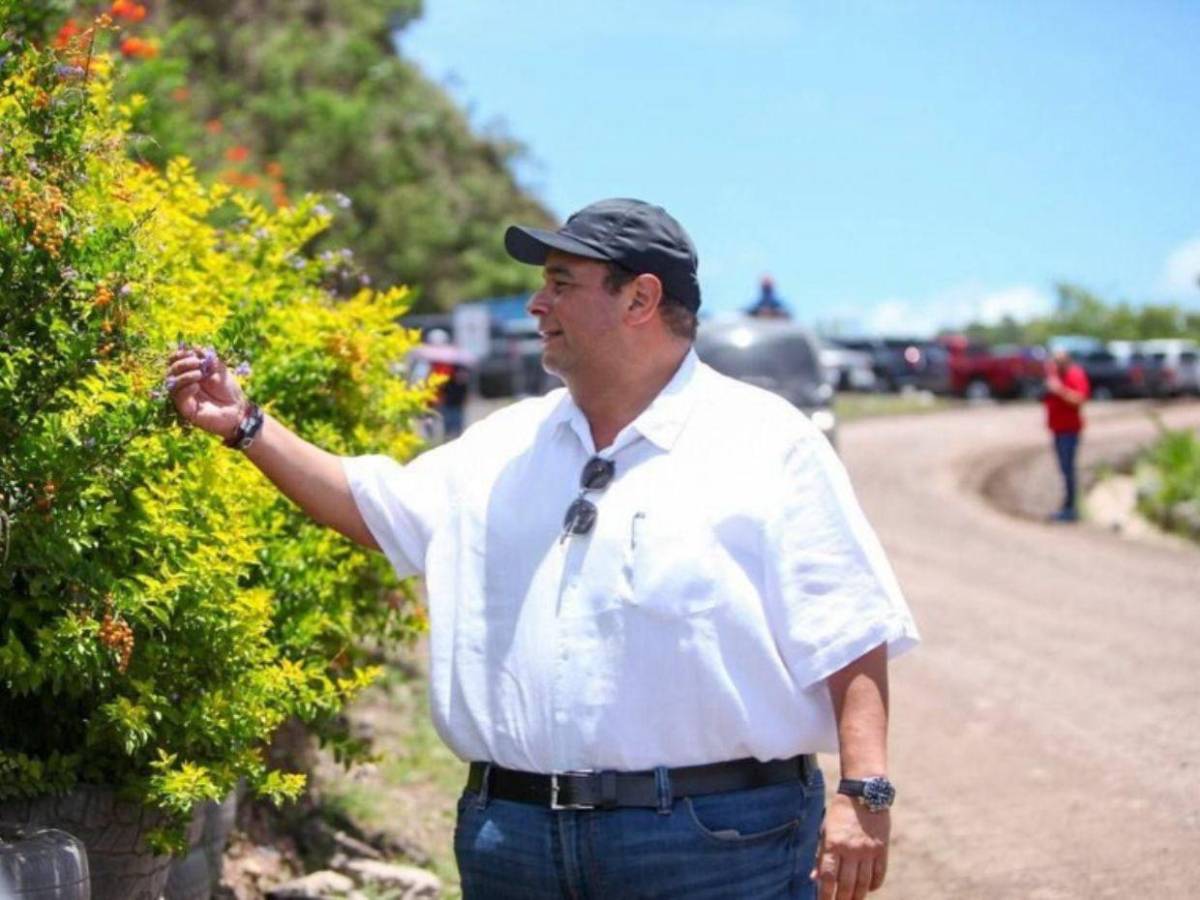 ¿Qué candidato lidera la contienda por alcaldía el Distrito Central?