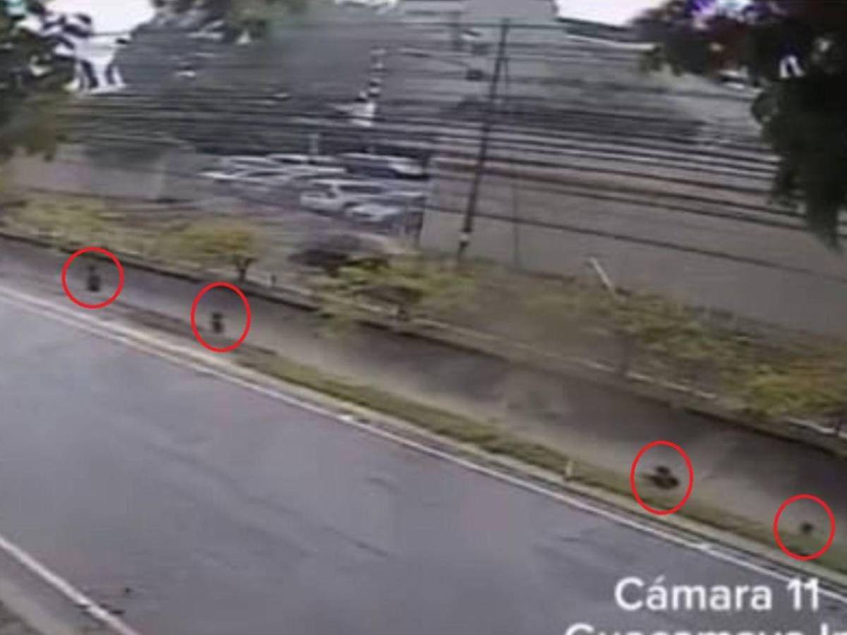 Saltó al agua a sacar la chancleta de su hermano y desapareció: caso de Elvis Bautista Guillén en SPS