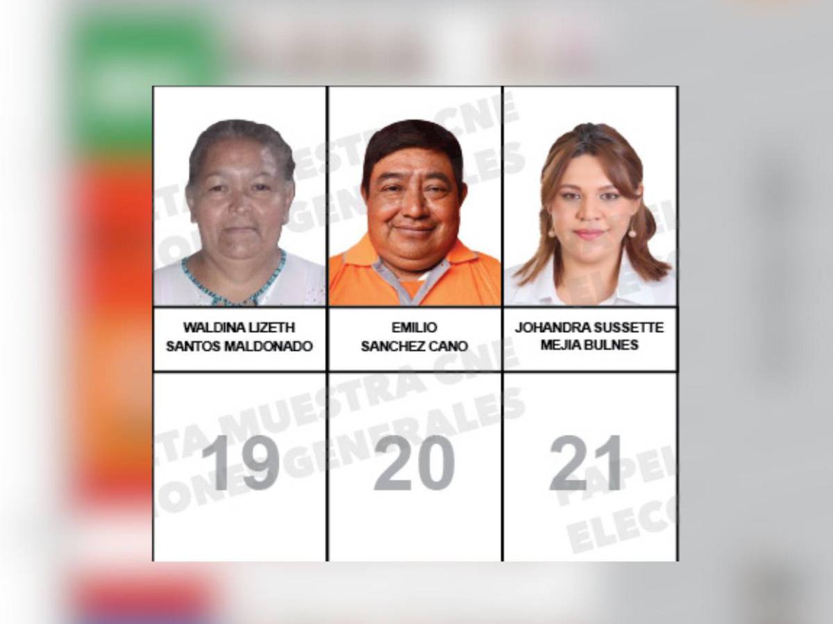 Uno estuvo en tres partidos: los candidatos a diputados por Comayagua