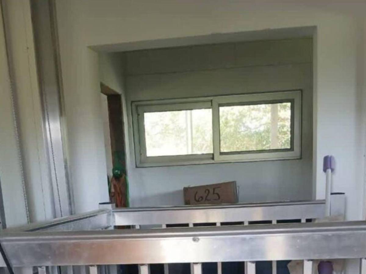 Manipuló cámaras, tiró el cuerpo al sótano y huyó: abogado que mató a su clienta en Roatán