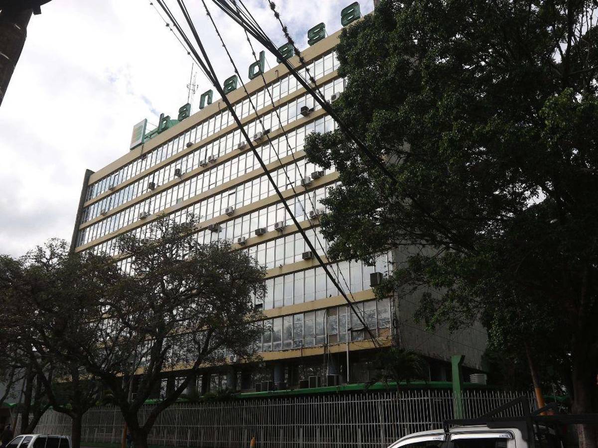 Banadesa y la ENAG, con la menor ejecución presupuestaria de este año en Honduras