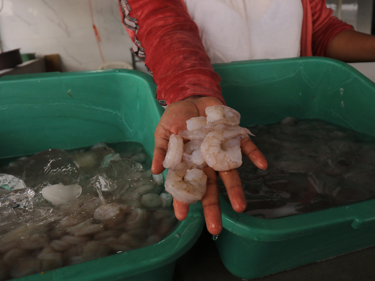 Los vendedores de mariscos llaman a los capitalinos a aprovechar bajos precios