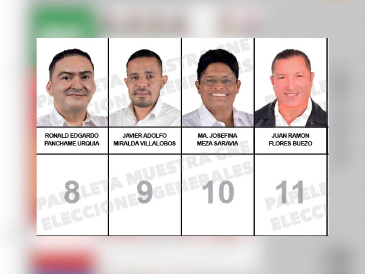 Uno estuvo en tres partidos: los candidatos a diputados por Comayagua