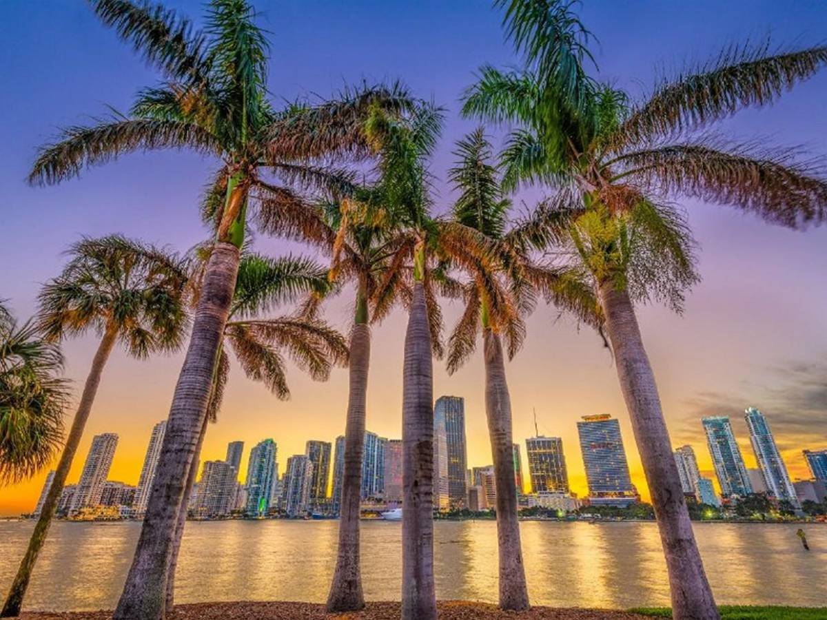 ¿Por qué vestirán de rosa en Miami los árbitros en partido Uruguay y Arabia Saudí?