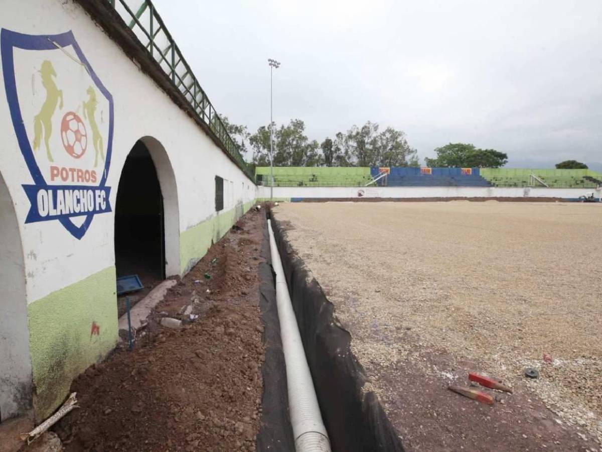 En fotos: Así avanza la renovación del estadio Juan Ramón Brevé; ¿cuándo estará listo? En fotos: Así avanza la renovación del estadio Juan Ramón Brevé; ¿cuándo estará listo?