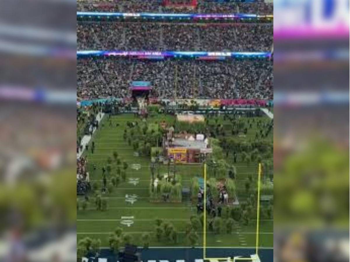 ¿Cuánto ganaron los arbustos que acompañaron a Bad Bunny en el Super Bowl?