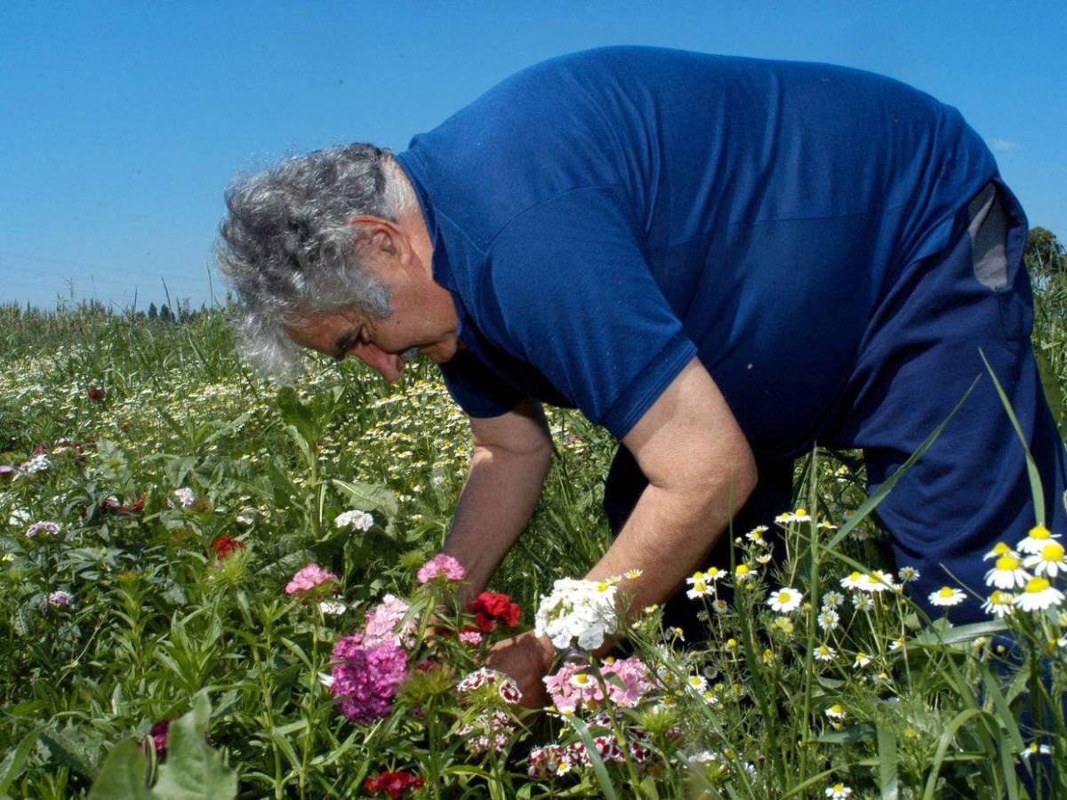 El mundo despide a Pepe Mujica, el presidente más pobre y querido de Uruguay