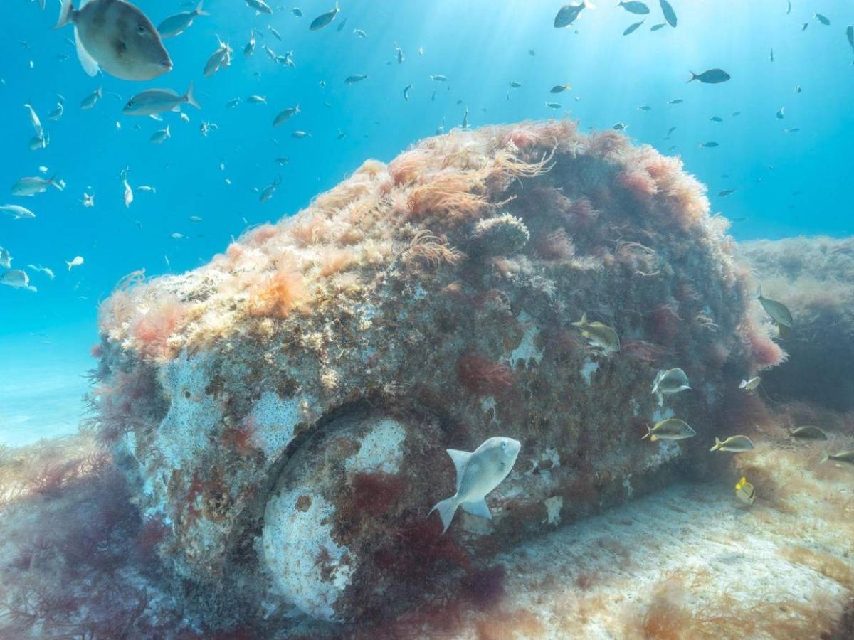 Autopista en la profundidad del mar: Miami Beach sumerge 'vehículos' para atraer fauna