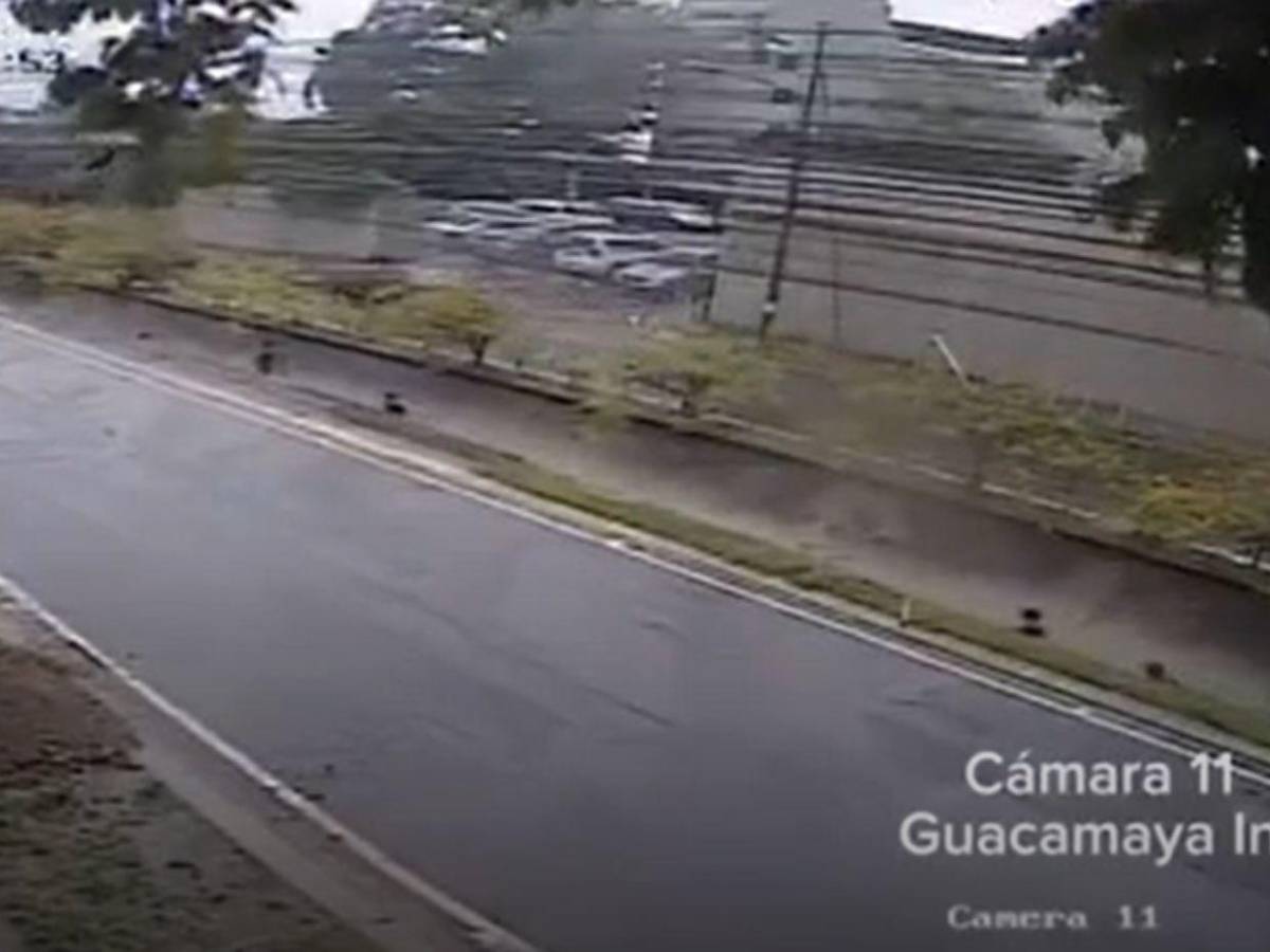 Cuadro a cuadro: cámaras captaron a Elvis Eliú Bautista jugando en la quebrada La Primavera