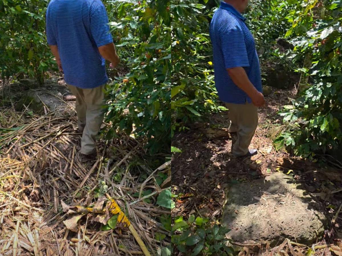 De difícil acceso y zona boscosa: revelan cómo es el lugar donde hallaron el cuerpo de Kimberly