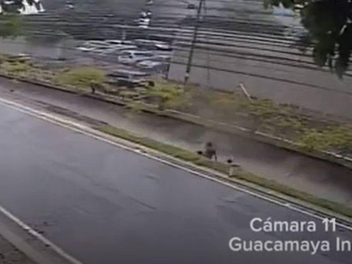 Cuadro a cuadro: cámaras captaron a Elvis Eliú Bautista jugando en la quebrada La Primavera