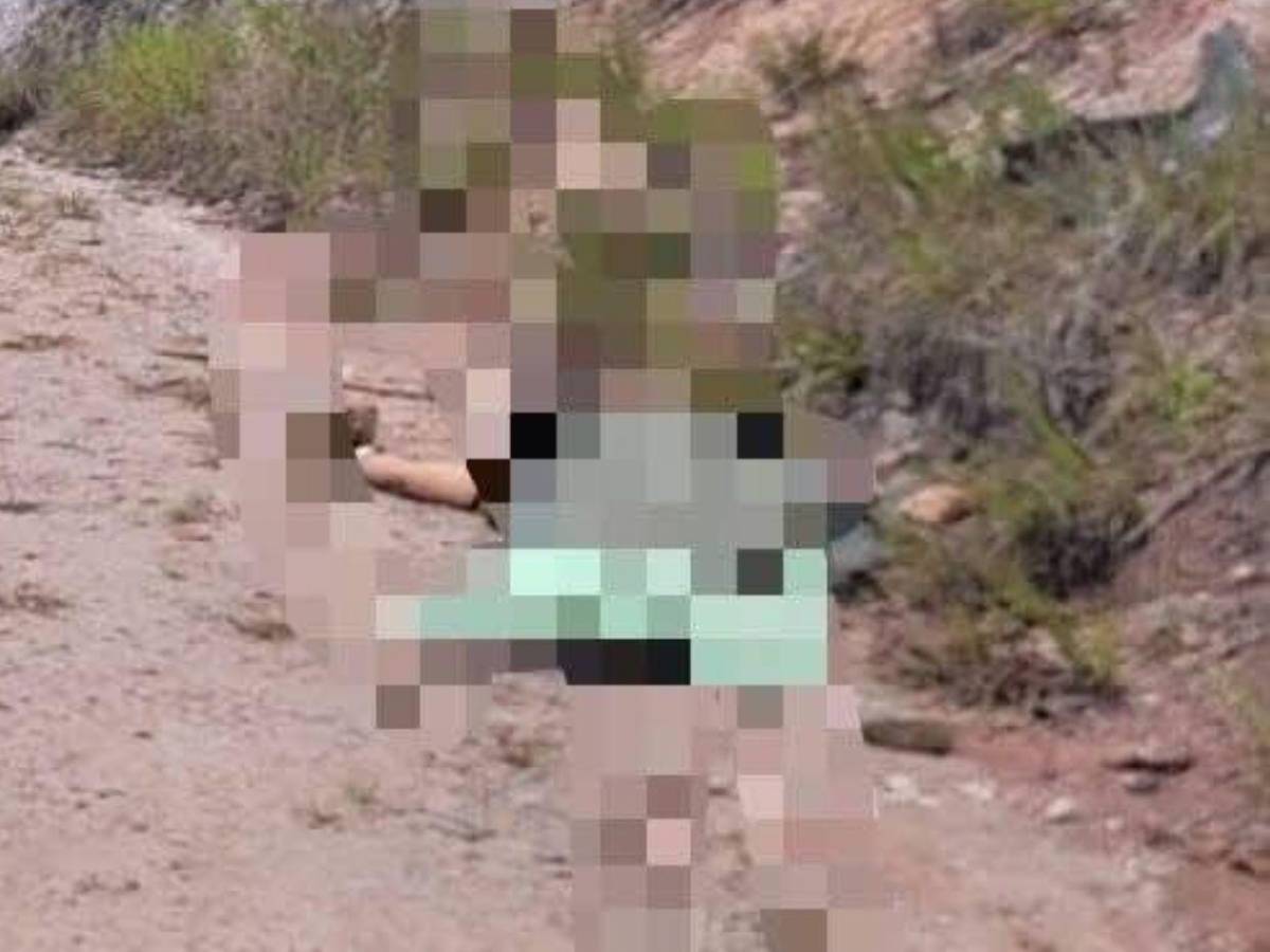 Tenía signos de estrangulamiento y su pareja fue detenida: avances en crimen de Norma Orellana