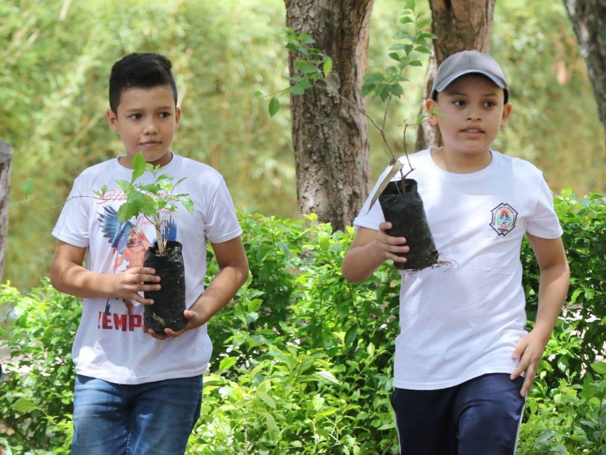 Amor por la naturaleza: Líderes ecológicos reforestaron el parque Juana Laínez