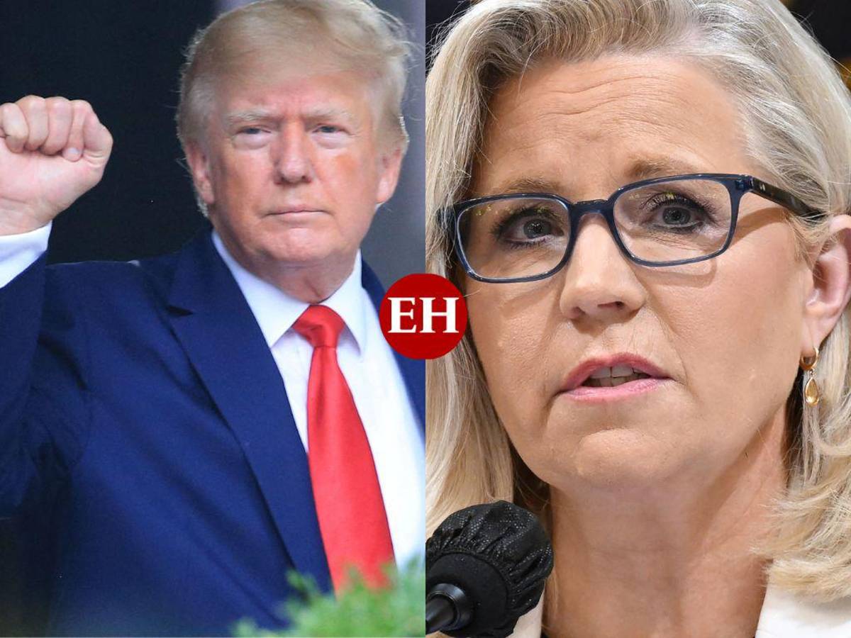 La enemiga de Donald Trump en las filas republicanas se encamina a una derrota electoral